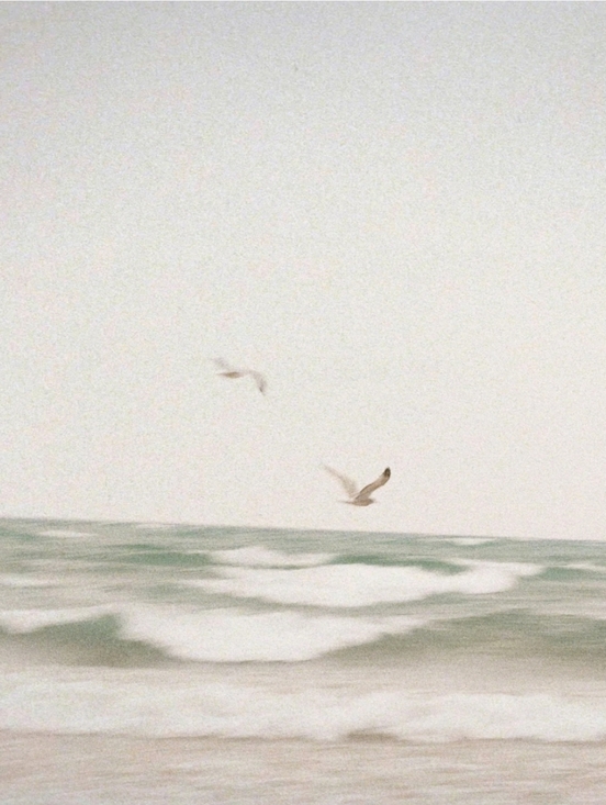 Sand + Fog Reed Diffuser ~ Clean Waves - Picture 3 of 4